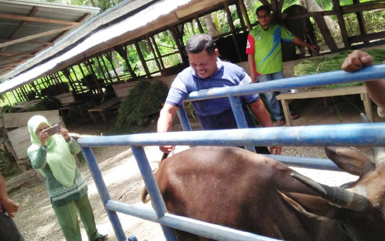 Inseminasi Buatan NSLIC Pohuwato